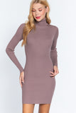 Turtle Neck Sewater Mini Dress