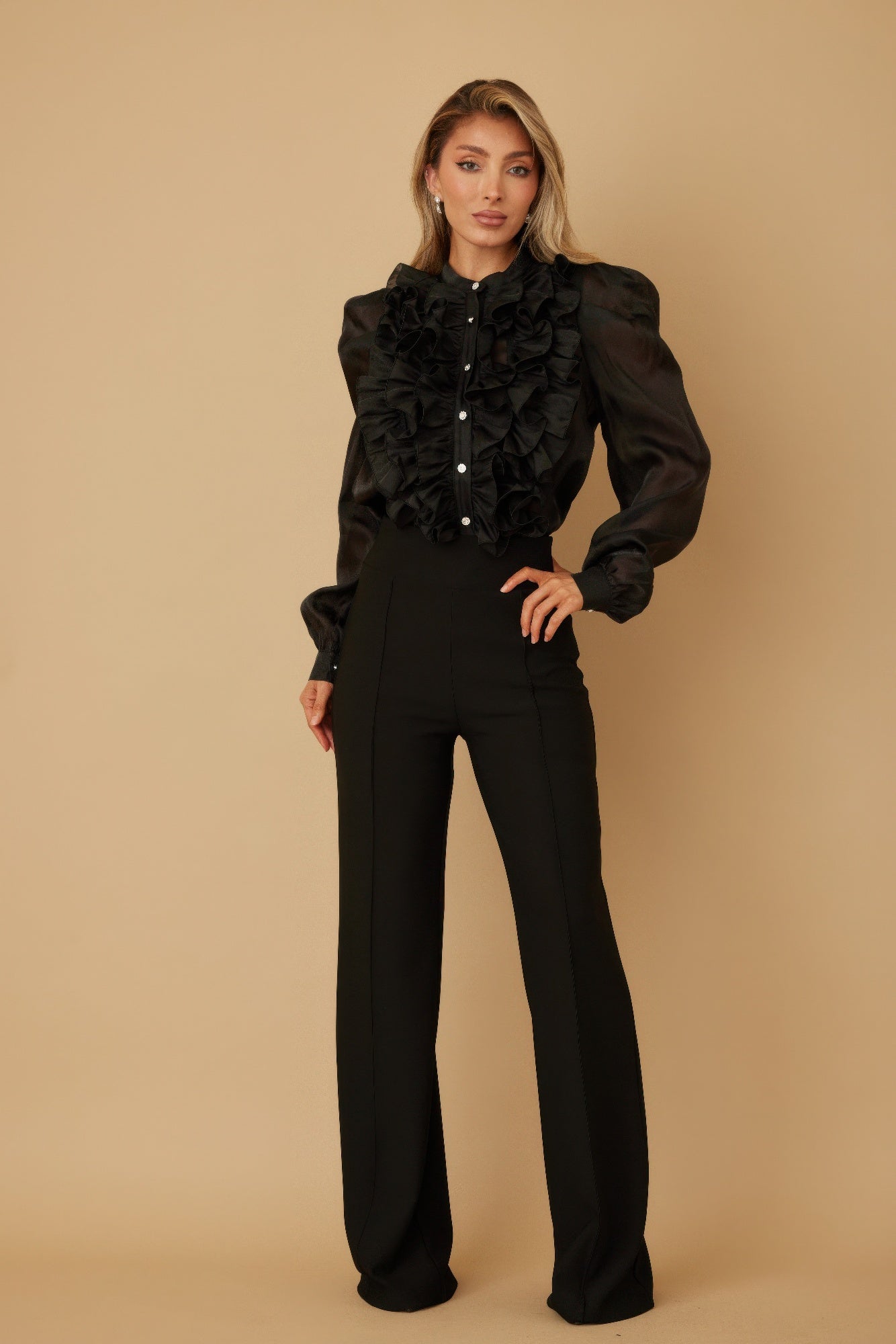 Black Sheer Ruffle Button-Front Blouse Secondary image