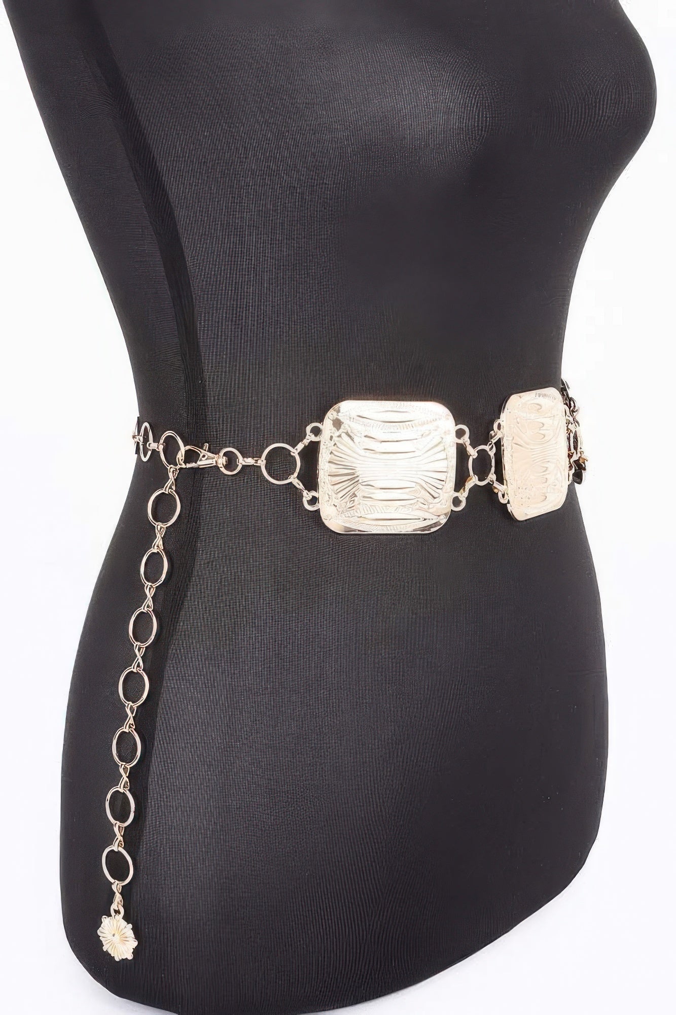 Textured Metal Link Waist Belt Secondary image