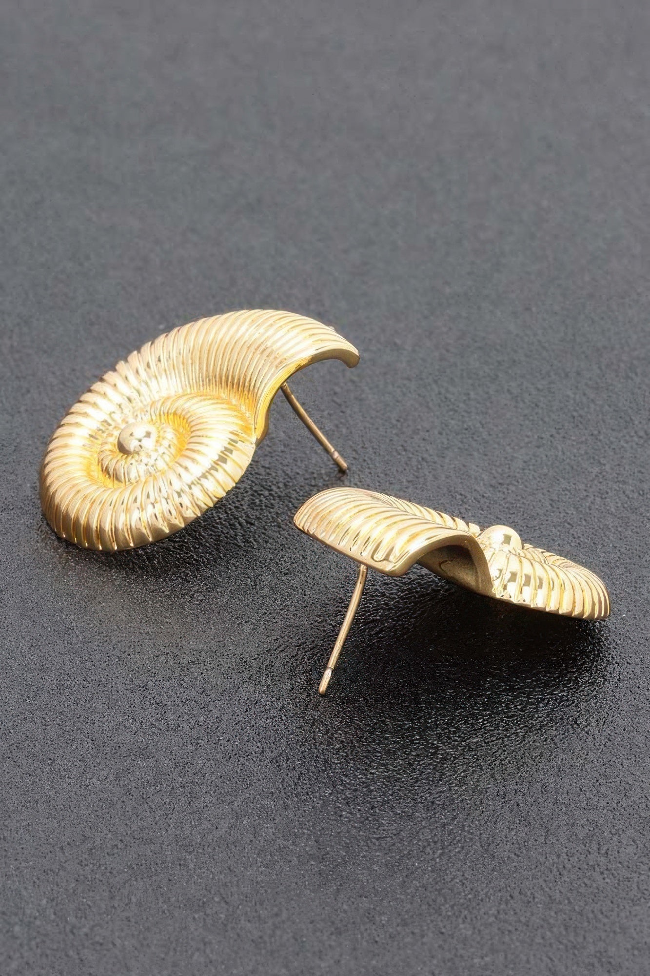 Spiral Shell Gold-Dipped Earrings Secondary image
