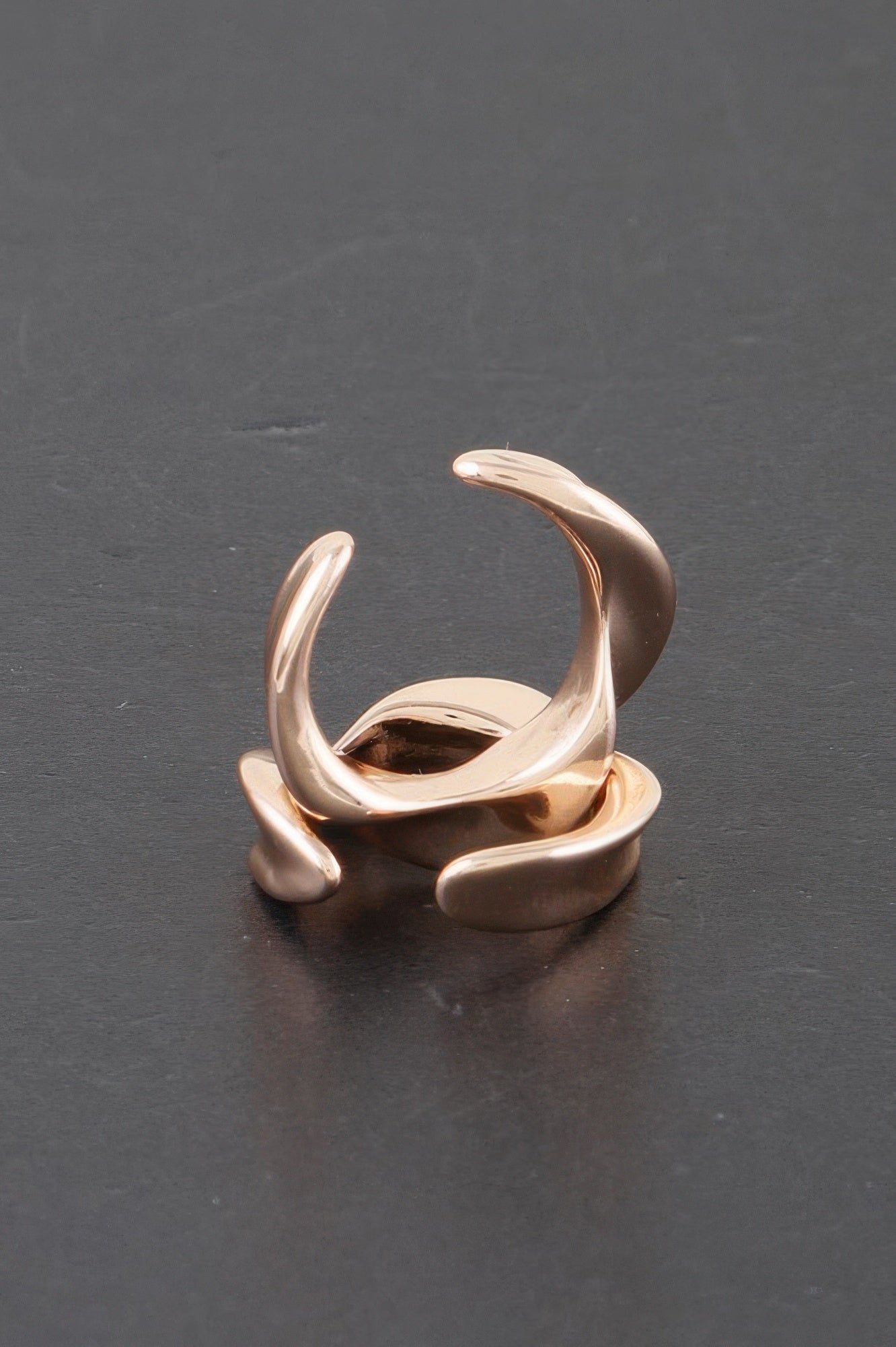 Twisted Plated Earrings Secondary image
